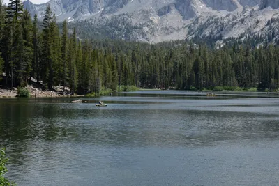 DSC_3219 (Large).JPG